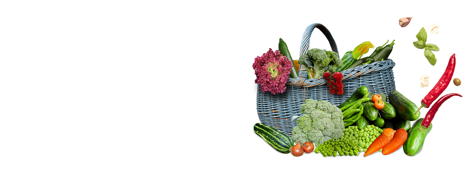 Valérie Prim : Grossiste en fruits & légumes